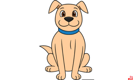How to Draw a Dog Step by Step